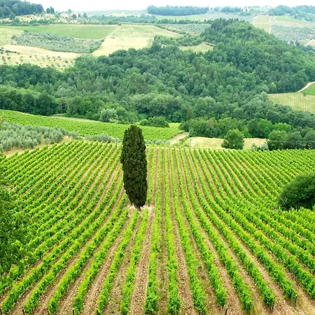 Tuscan Haven With Pool Casa vacanze *