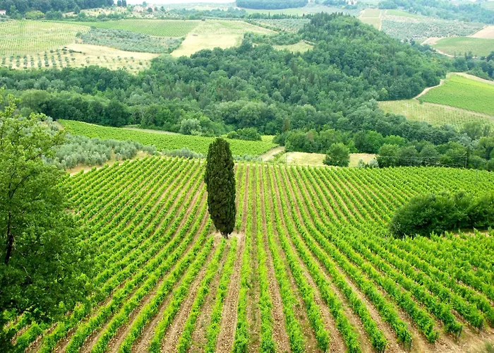 Tuscan Haven With Pool Дом отдыха *